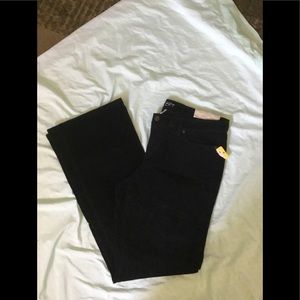 Loft Curvy Corduroy Pants size 10 NWT
